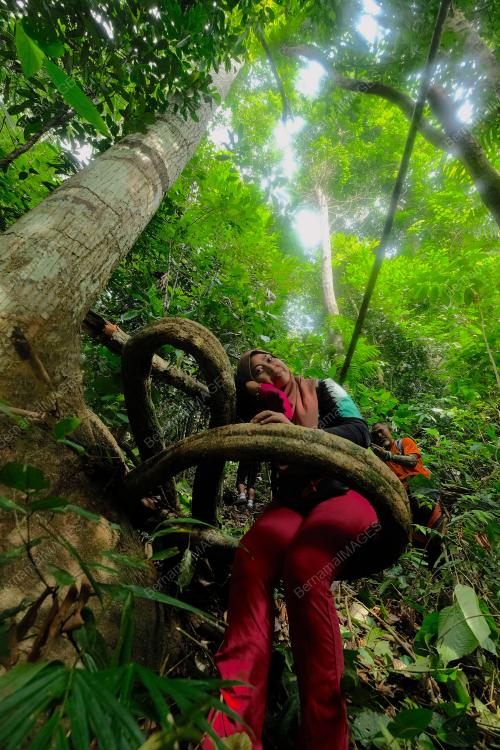 HUTAN LIPUR LATA LEMBU