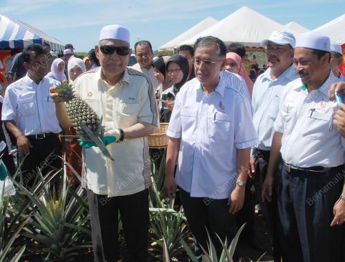 AZIZAN ABDUL RAZAK