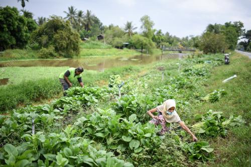 BEKALAN SAYUR-SAYURAN