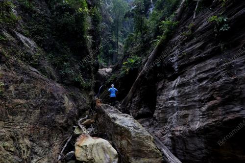 HARI_HUTAN