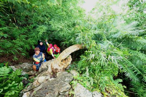 GUNUNG PULAI, BALING