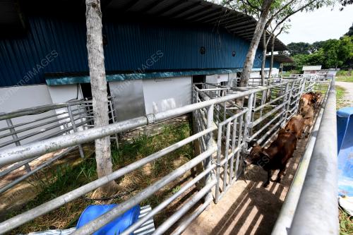 PUSAT PENYEMBELIHAN PAYA PAHLAWAN