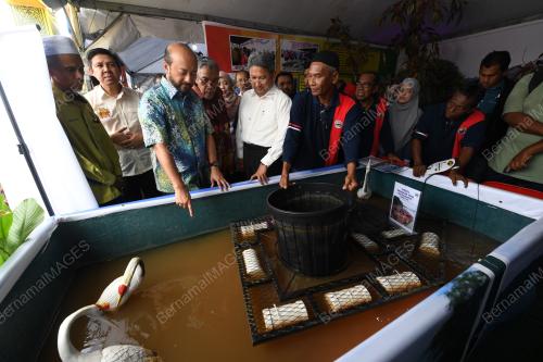 KD08_25072019_KEDAH_BN201907225886