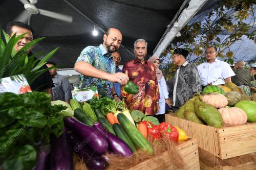 KD08_25072019_MB_KEDAH_BN201907225886