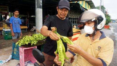 PETAI PKP