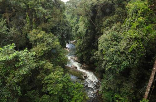 SUNGAI SEDIM