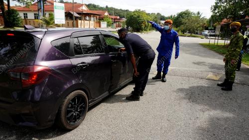 PEMERIKSAAN MENGEJUT LORONG TIKUS