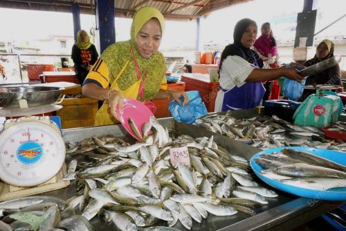 KD09_05072017_IKAN