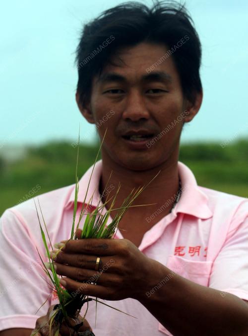 KD09_07062012_JOHARI_SAWAH