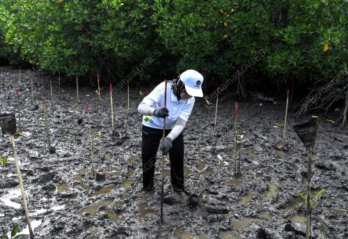 JABATAN HUTAN