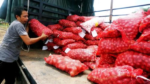 BAWANG PKPB