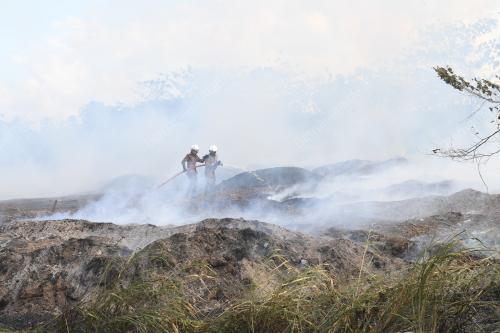 KEBAKARAN HUTAN