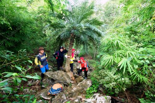 GUNUNG PULAI, BALING