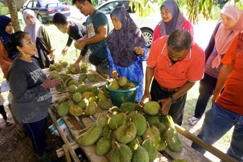 KD09_30062019_DURIAN