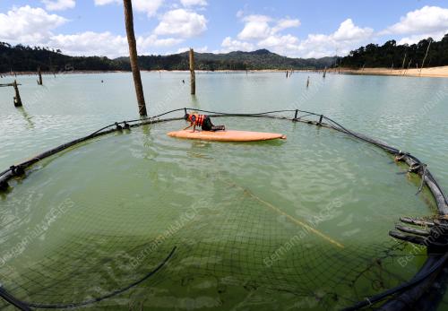 PELANCONGAN TASIK PEDU