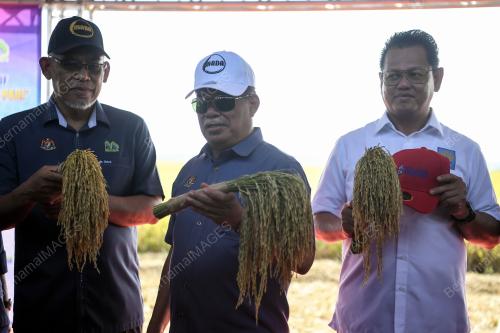 DATUK SERI MOHAMAD SABU