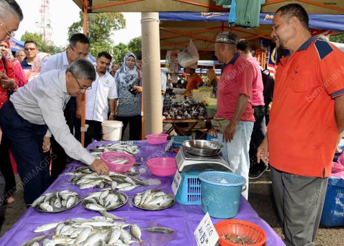 KD10_05032017_PASAR_TANI