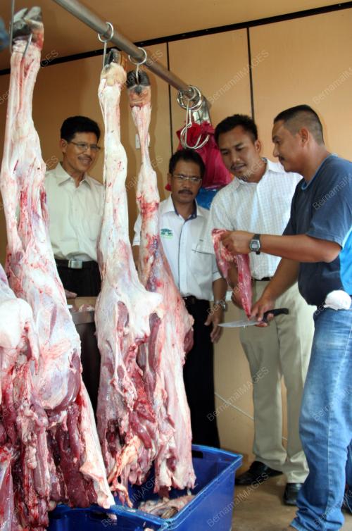 DAGING SEGAR