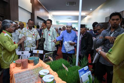 KD10_10092019_PADI_BN201909060272