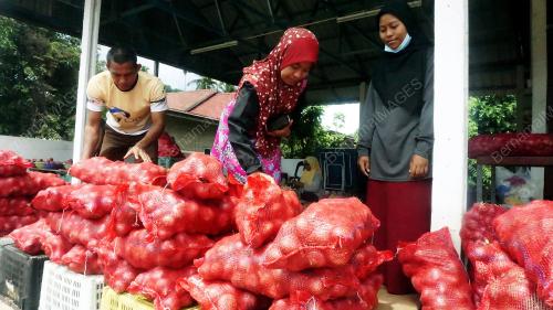BAWANG PKPB