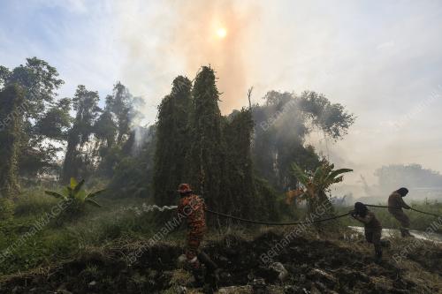 TINJAUAN MUSIM PANAS