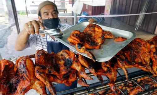 TINJAUAN HARGA AYAM GOLEK