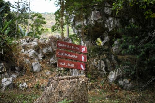 GUNUNG PULAI