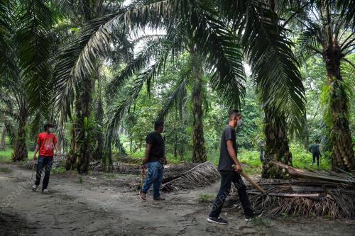 PENDUDUK KAMPUNG_ETNIK ROHINGYA