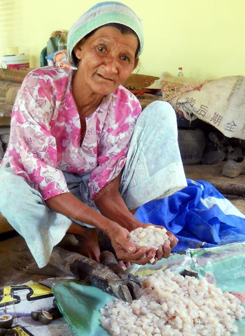 KD10_23062015_BUAH_KABUNG