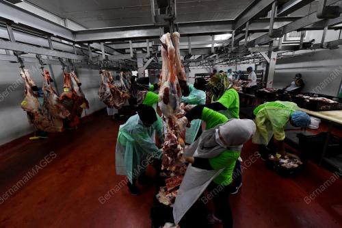 PUSAT PENYEMBELIHAN PAYA PAHLAWAN