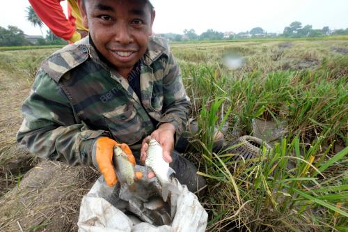 KD10_23092019_REZEKI_DARI_BENDANG_BN201909181478