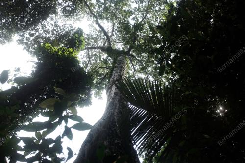KD10_30082016_POKOK