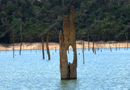 PELANCONGAN TASIK PEDU