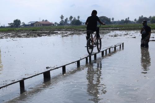 PESTA BENDANG PERPADUAN