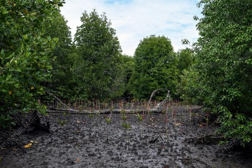 JABATAN HUTAN