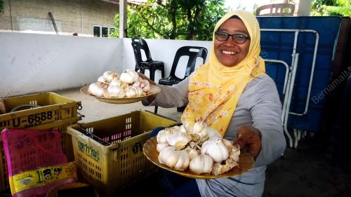 BAWANG PKPB