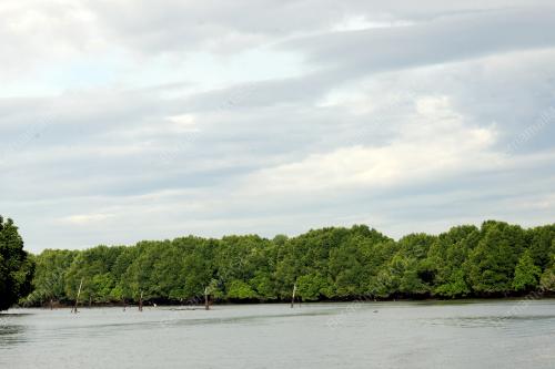 BOT CATAMARAN SUNGAI MERBOK