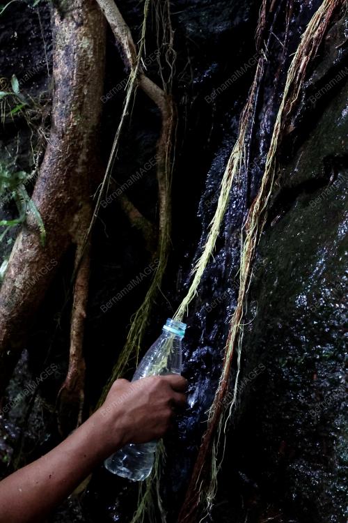 HARI_HUTAN
