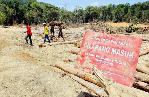 KD11_24022014_HUTAN_SIMPAN