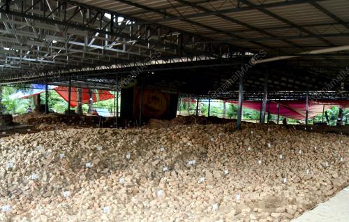 KD11_25052012_BUJANG