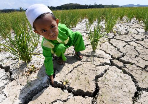 TINJAUAN SAWAH KERING DI PENDANG