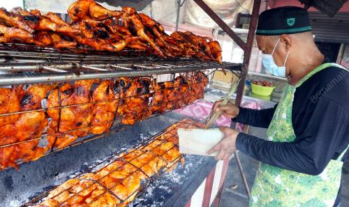 TINJAUAN HARGA AYAM GOLEK