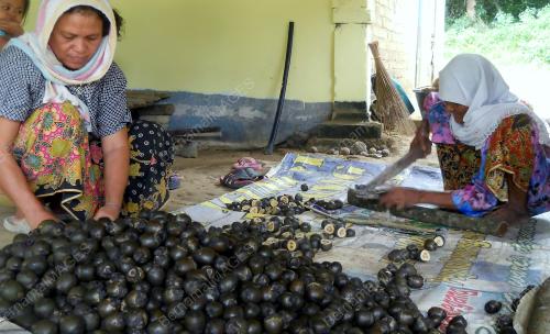 KD12_23062015_BUAH_KABUNG