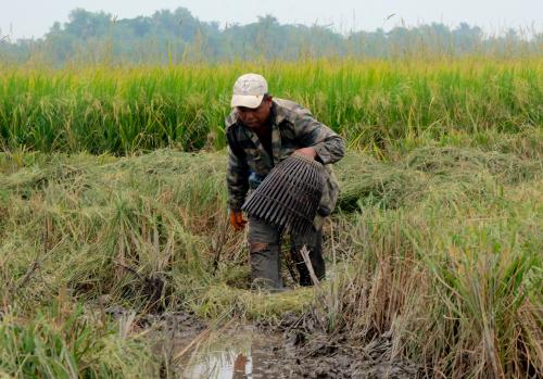 KD12_23092019_REZEKI_DARI_BENDANG_BN201909181478