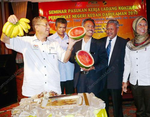BADARUDDIN AMIRUDDIN