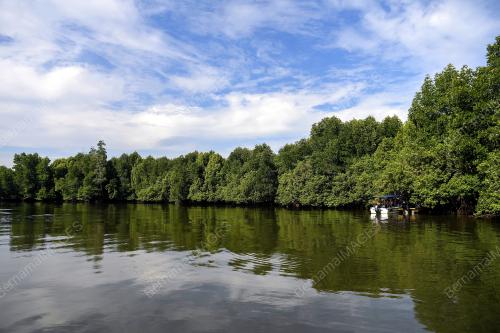 JABATAN HUTAN