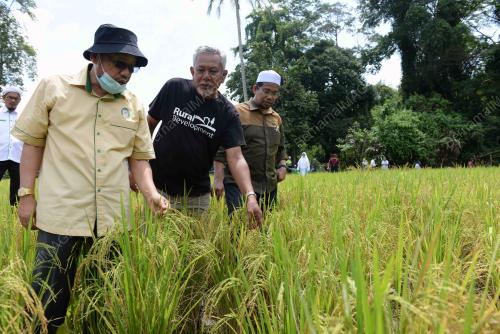 DATUK CHE ABDULLAH MAT NAWI