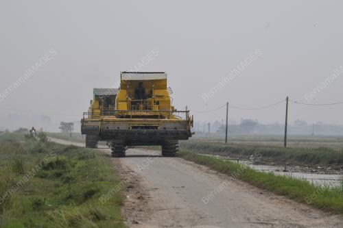 KD13_22092019_JEREBU