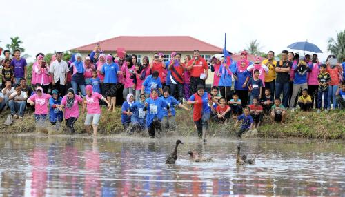 KD13_27102013_SG_LIMAU