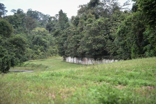 ANGKATAN TENTERA MALAYSIA